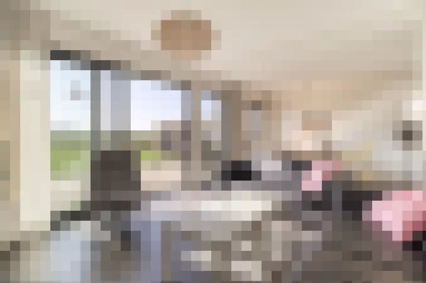 Lamsoor 14 Nieuwvliet thumbnail 9