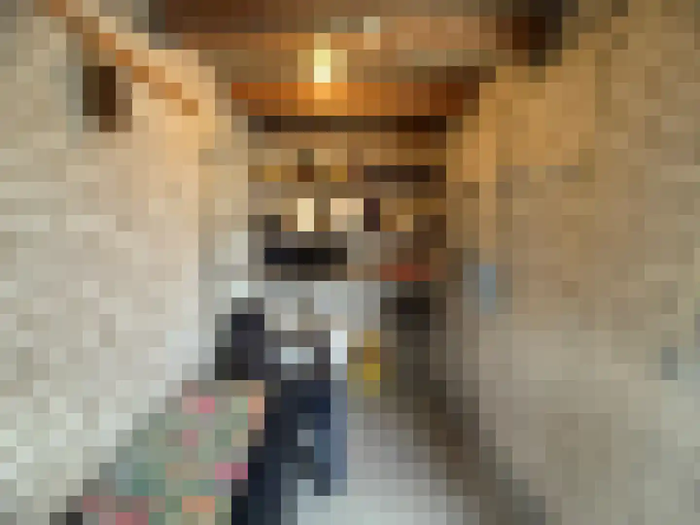 Lamsoor 26 Nieuwvliet thumbnail 10
