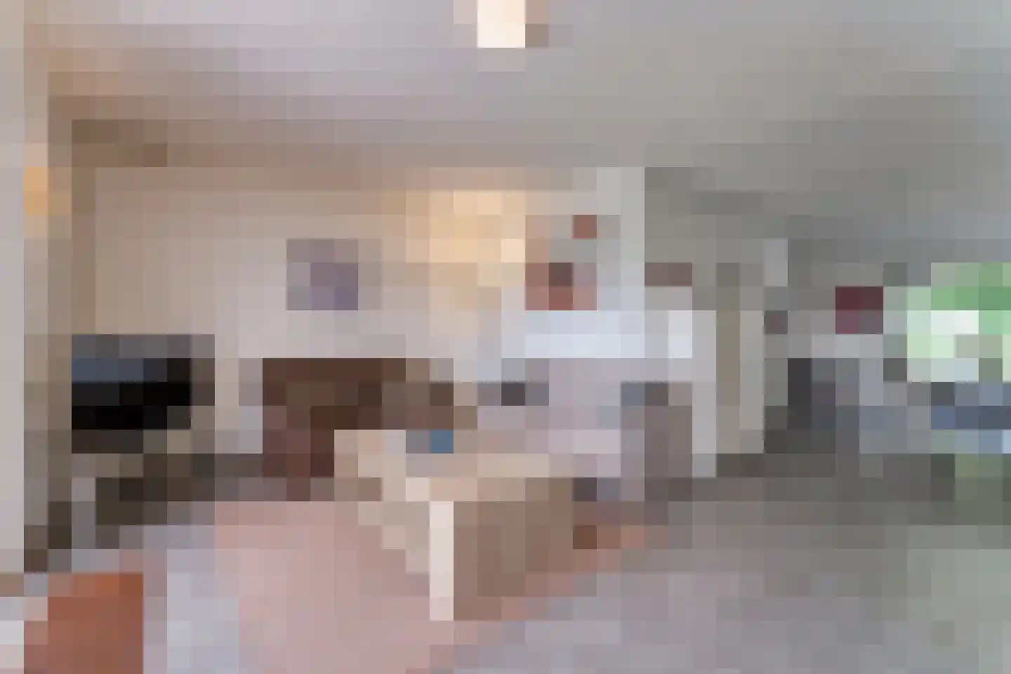 Lamsoor 26 Nieuwvliet thumbnail 12