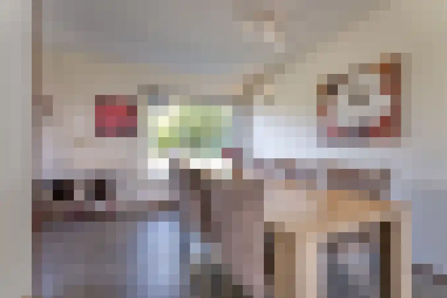 Lamsoor 26 Nieuwvliet thumbnail 14