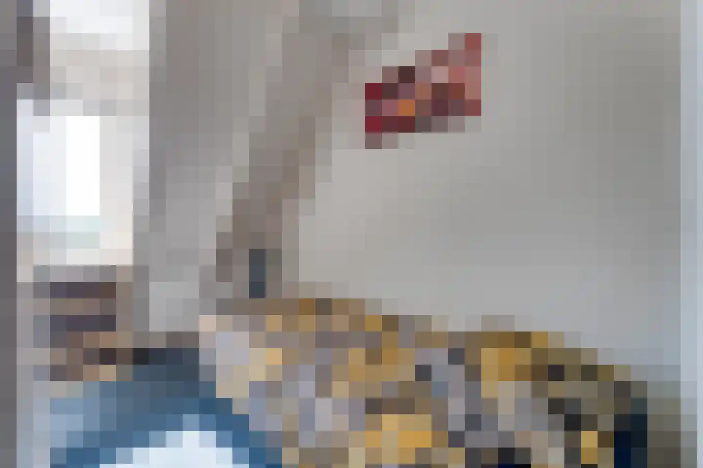 Lamsoor 26 Nieuwvliet thumbnail 19