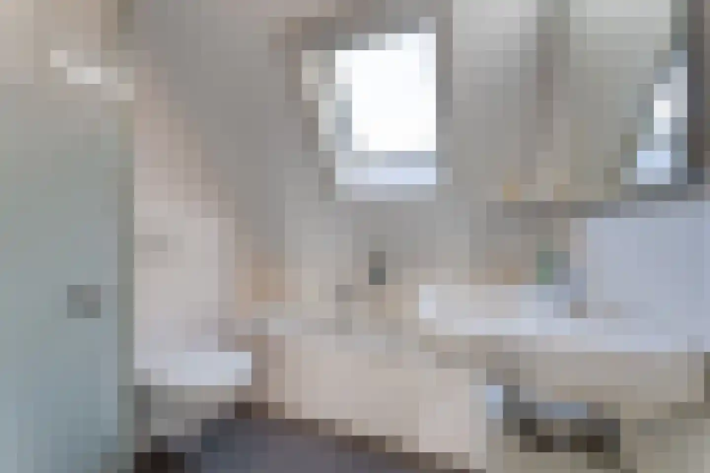 Lamsoor 26 Nieuwvliet thumbnail 21