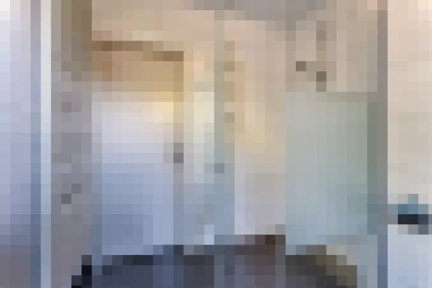 Lamsoor 26 Nieuwvliet thumbnail 22
