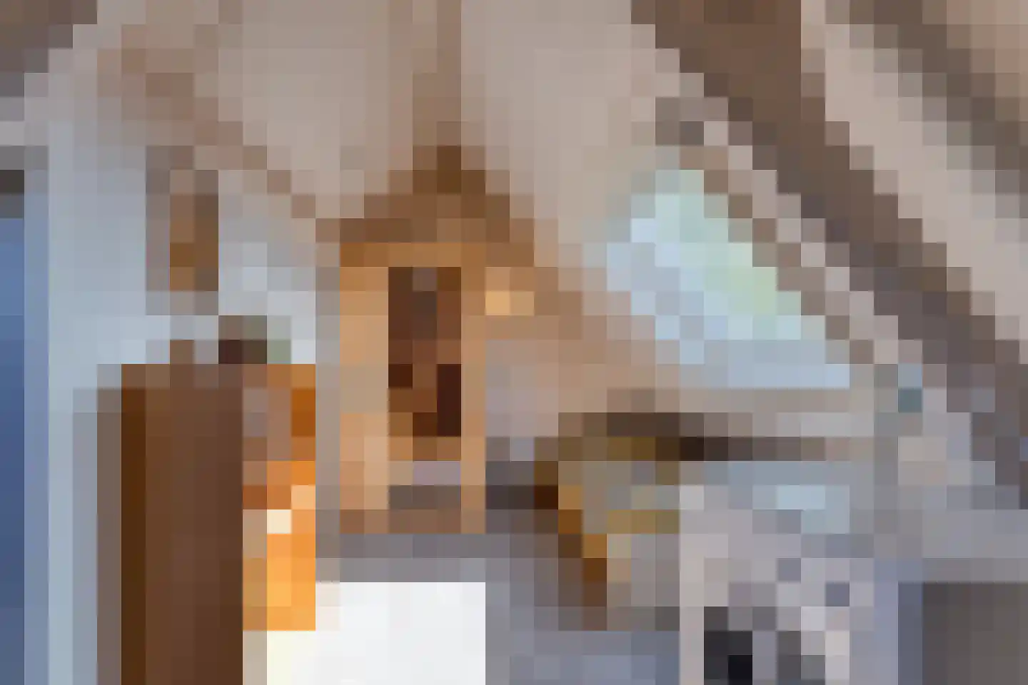 Lamsoor 26 Nieuwvliet thumbnail 24