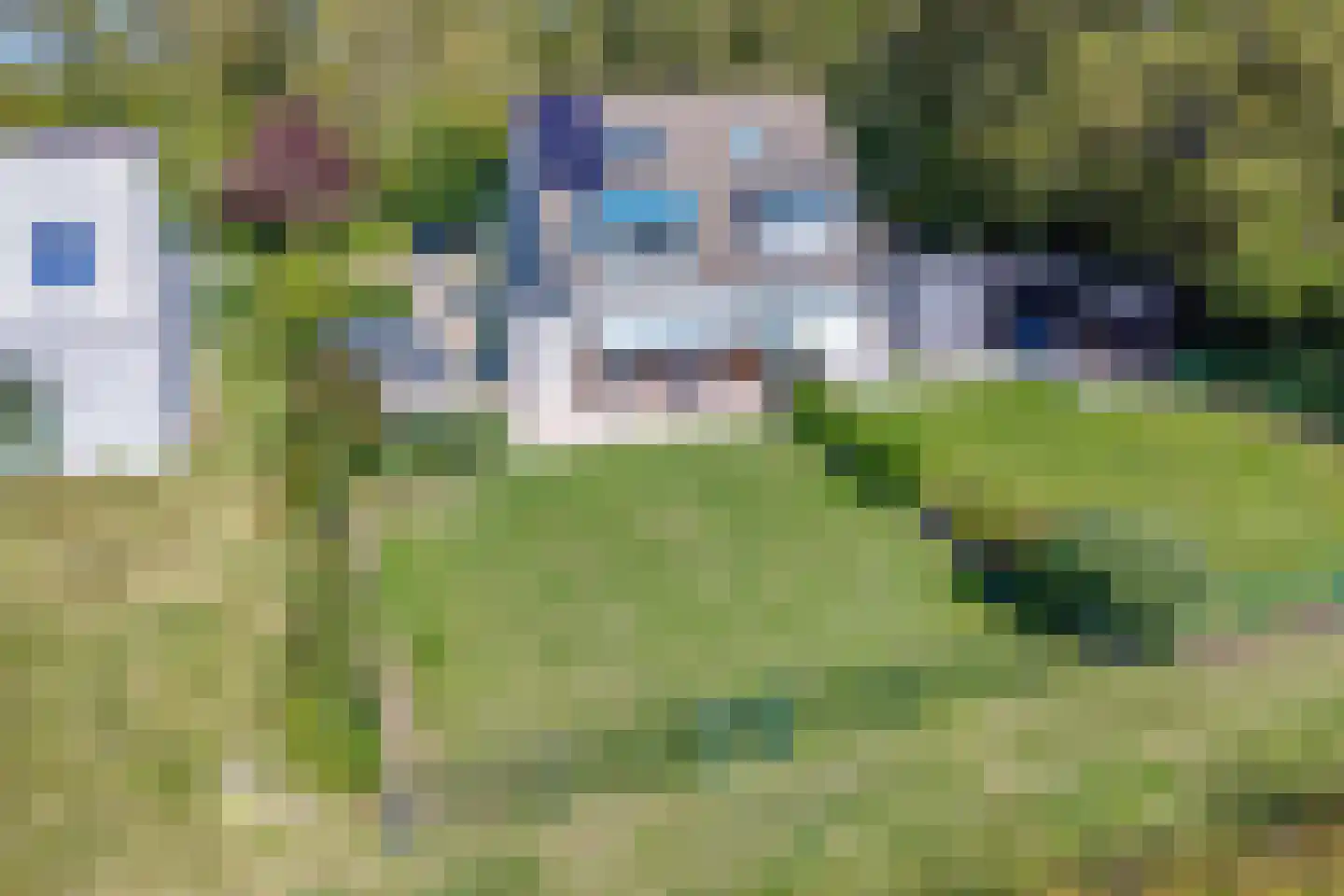 Lamsoor 26 Nieuwvliet thumbnail 26