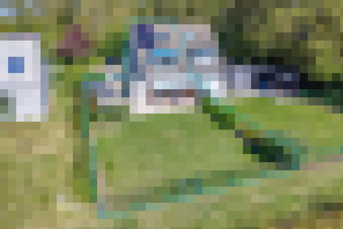 Lamsoor 26 Nieuwvliet thumbnail 27