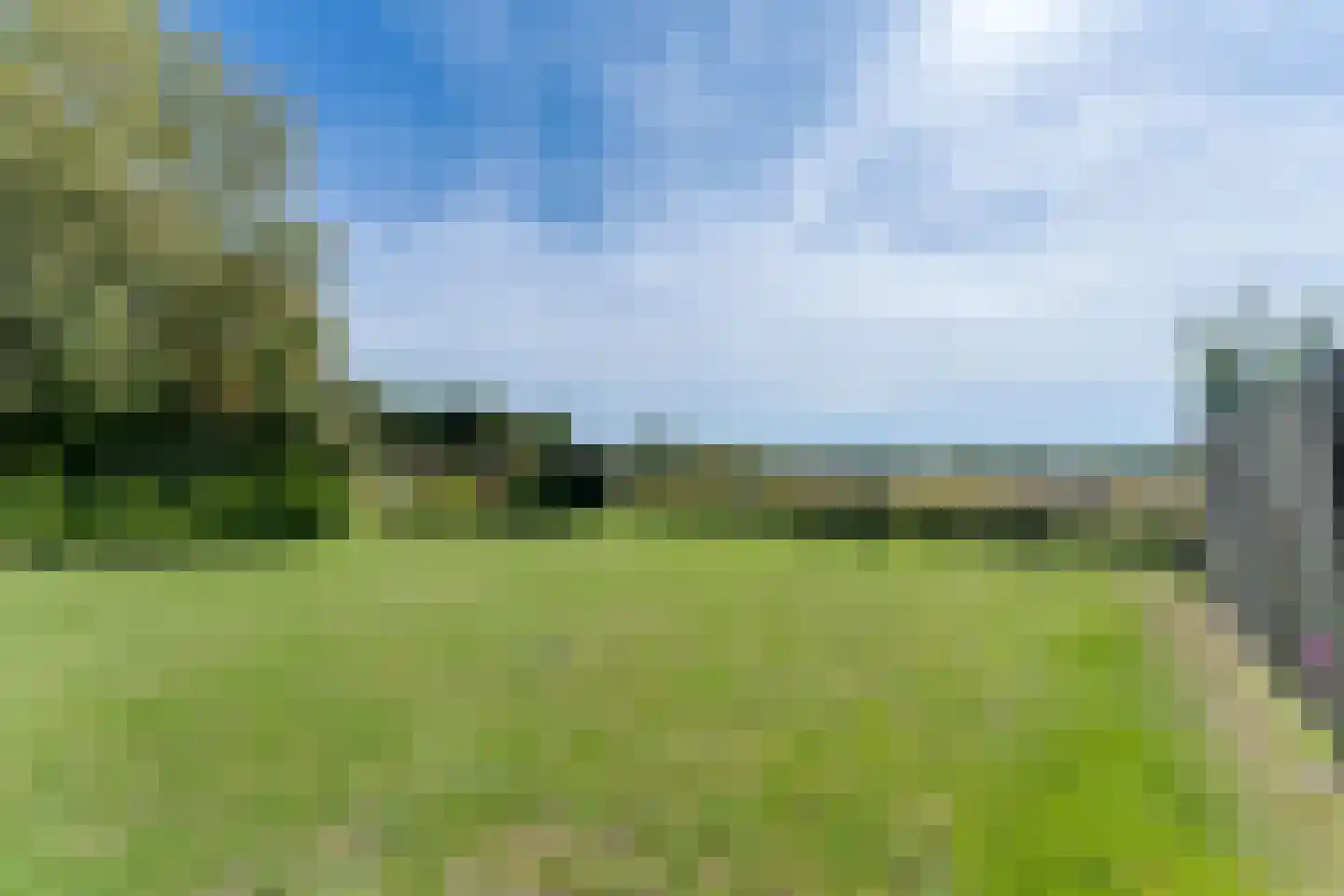 Lamsoor 26 Nieuwvliet thumbnail 28