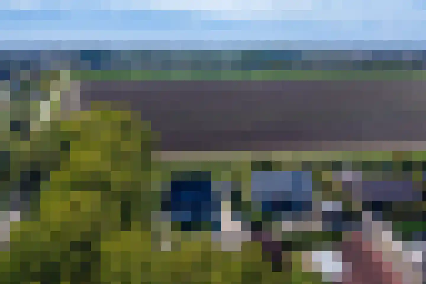 Lamsoor 26 Nieuwvliet thumbnail 35