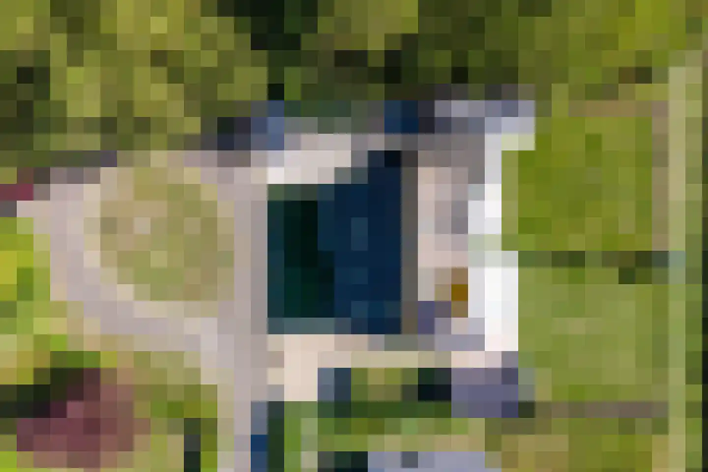 Lamsoor 26 Nieuwvliet thumbnail 36