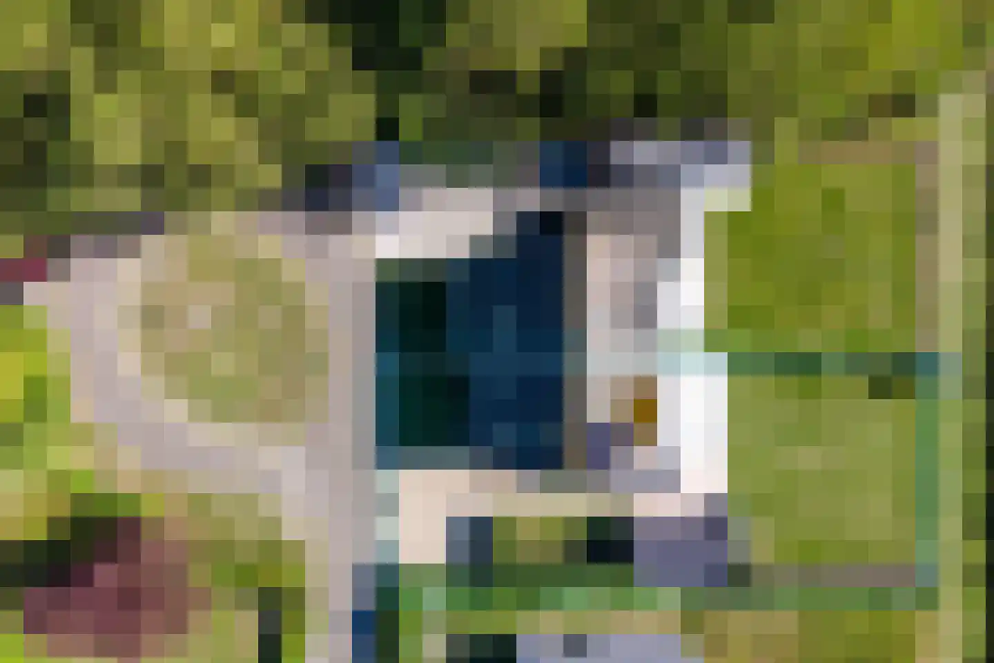 Lamsoor 26 Nieuwvliet thumbnail 37