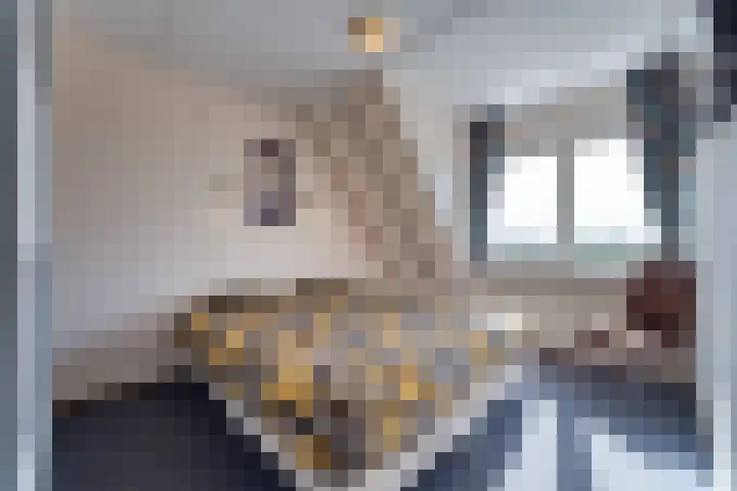 Lamsoor 26 Nieuwvliet thumbnail 4