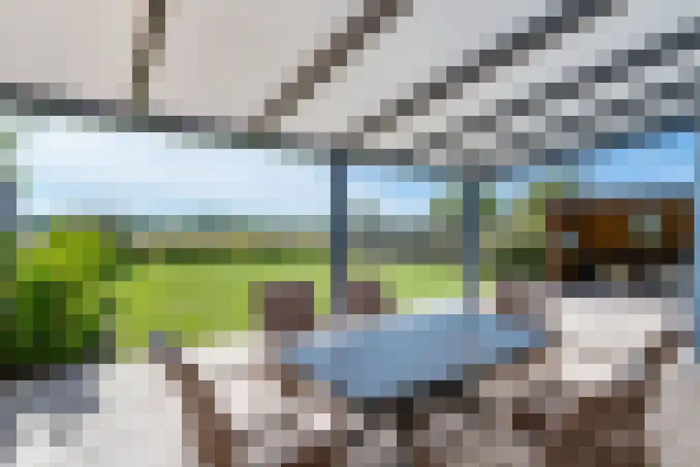 Lamsoor 26 Nieuwvliet thumbnail 5