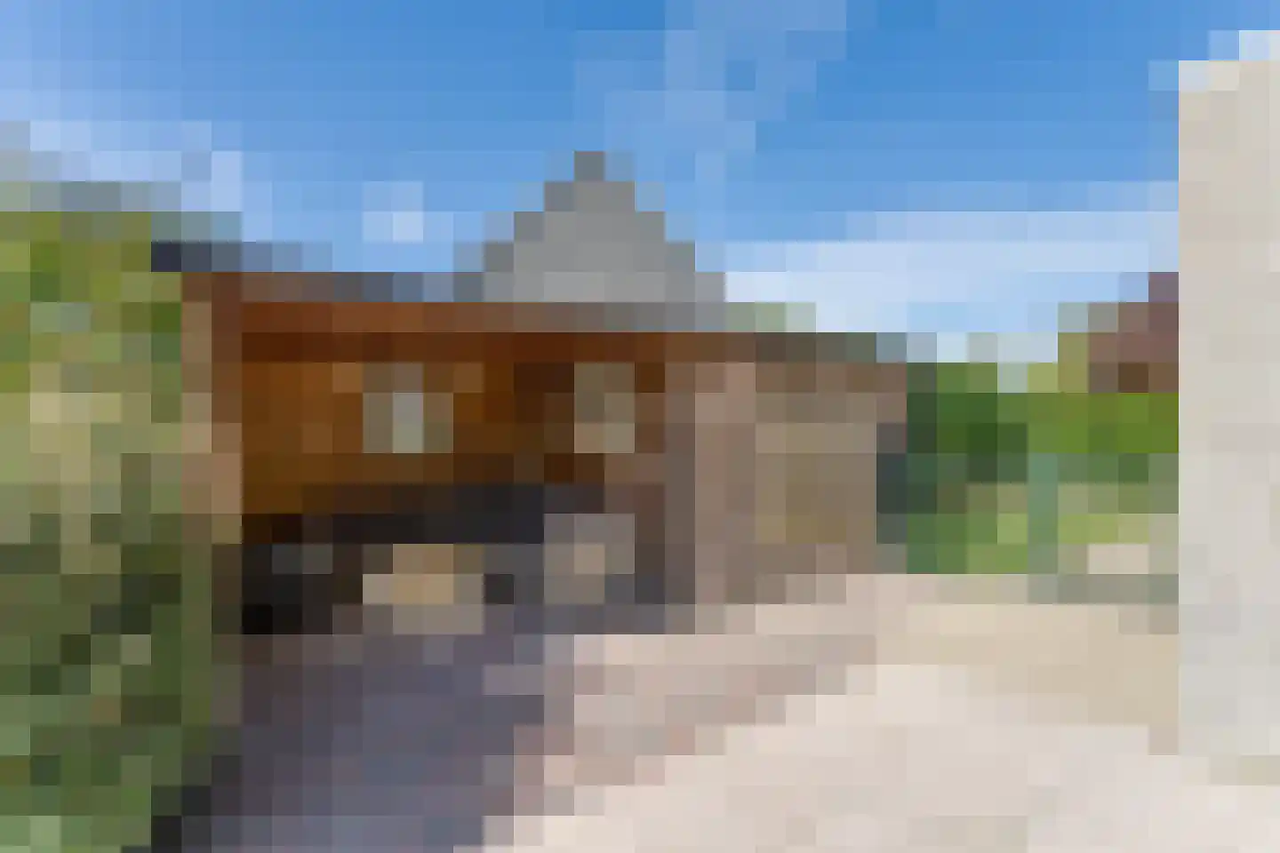 Lamsoor 26 Nieuwvliet thumbnail 7