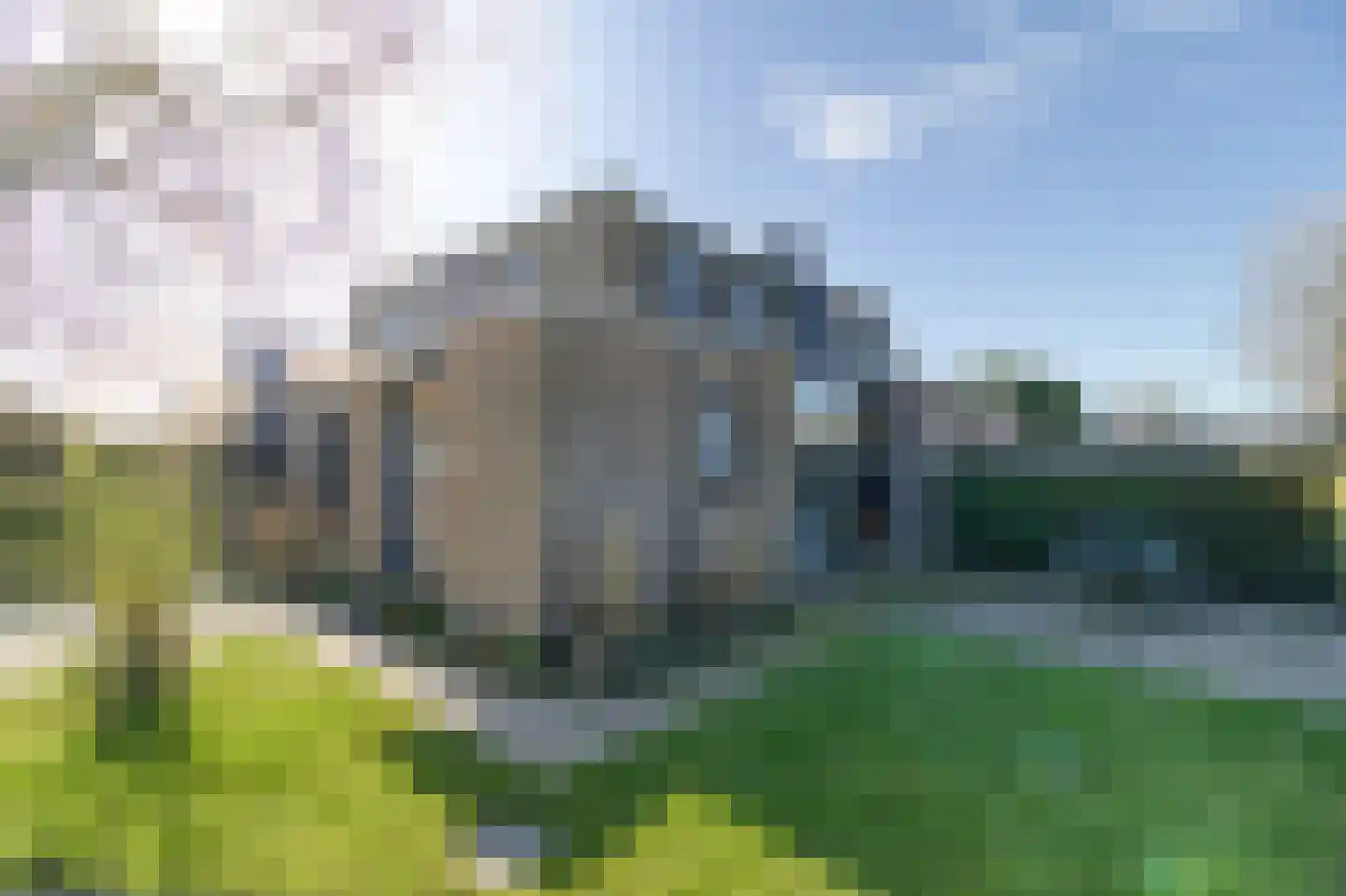 Lamsoor 3 B Nieuwvliet