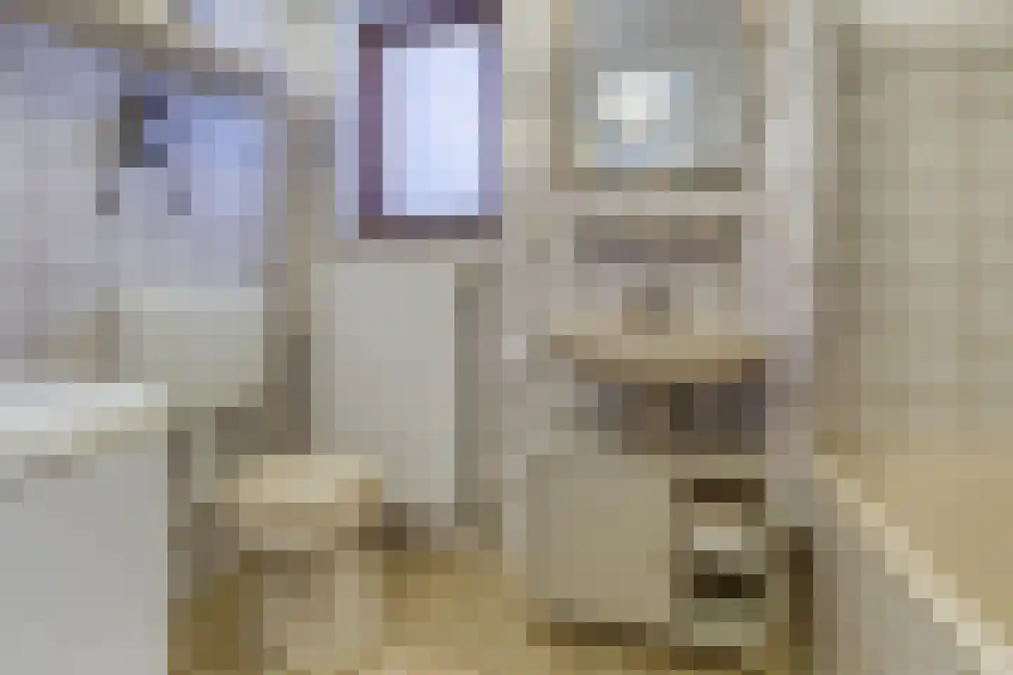 Lamsoor 3 B Nieuwvliet thumbnail 11
