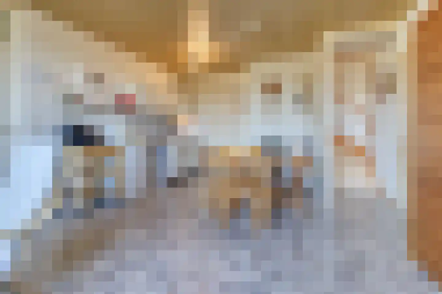 Lamsoor 3 B Nieuwvliet thumbnail 13