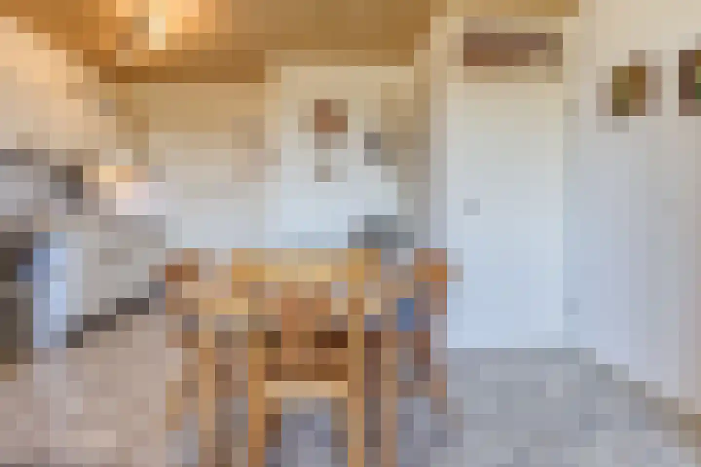Lamsoor 3 B Nieuwvliet thumbnail 16