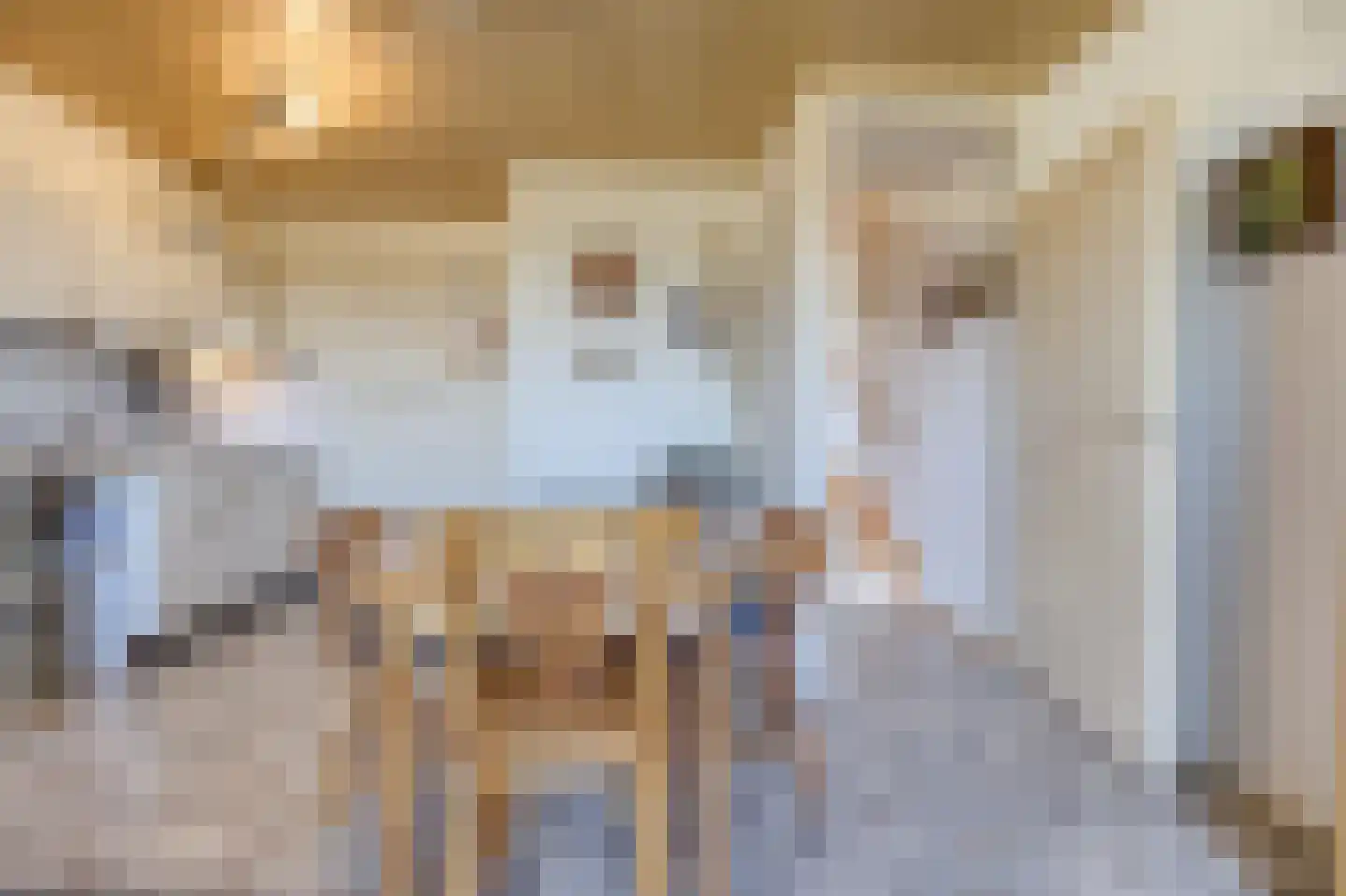 Lamsoor 3 B Nieuwvliet thumbnail 17