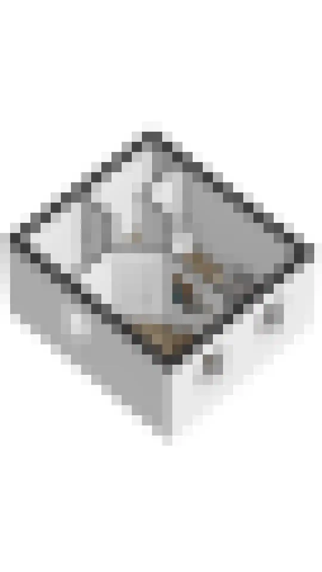 Lamsoor 3 B Nieuwvliet thumbnail 32