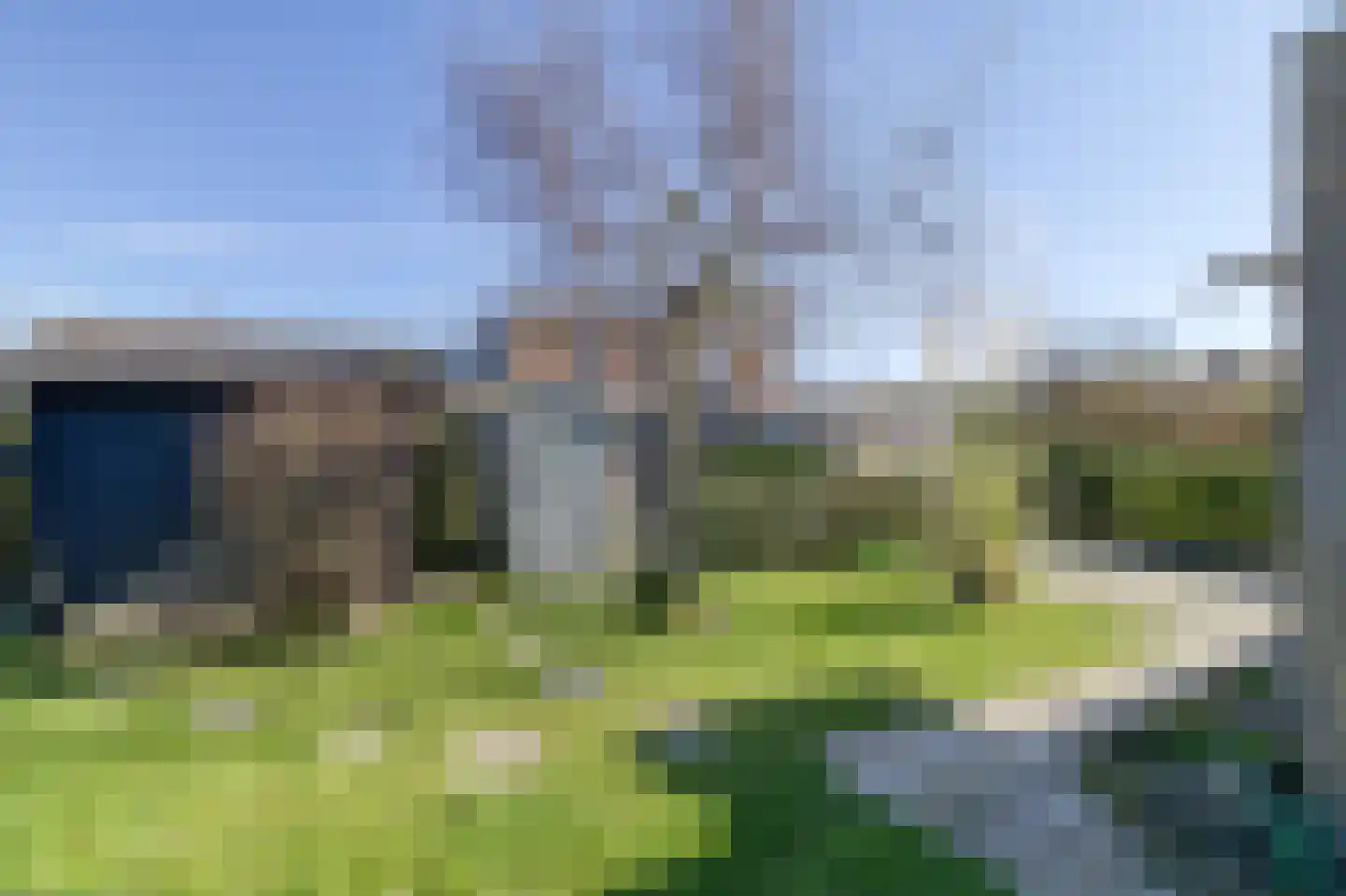 Lamsoor 3 B Nieuwvliet thumbnail 5