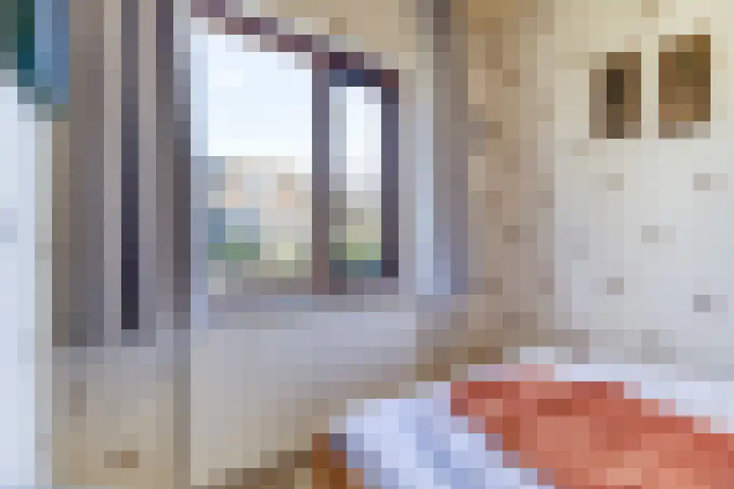 Lamsoor 3 B Nieuwvliet thumbnail 9