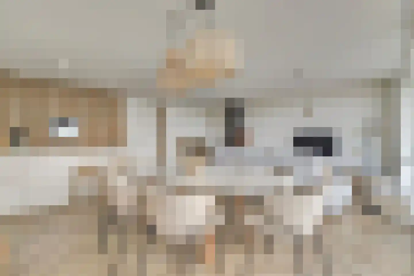 Lamsoor 31 Arnemuiden thumbnail 17