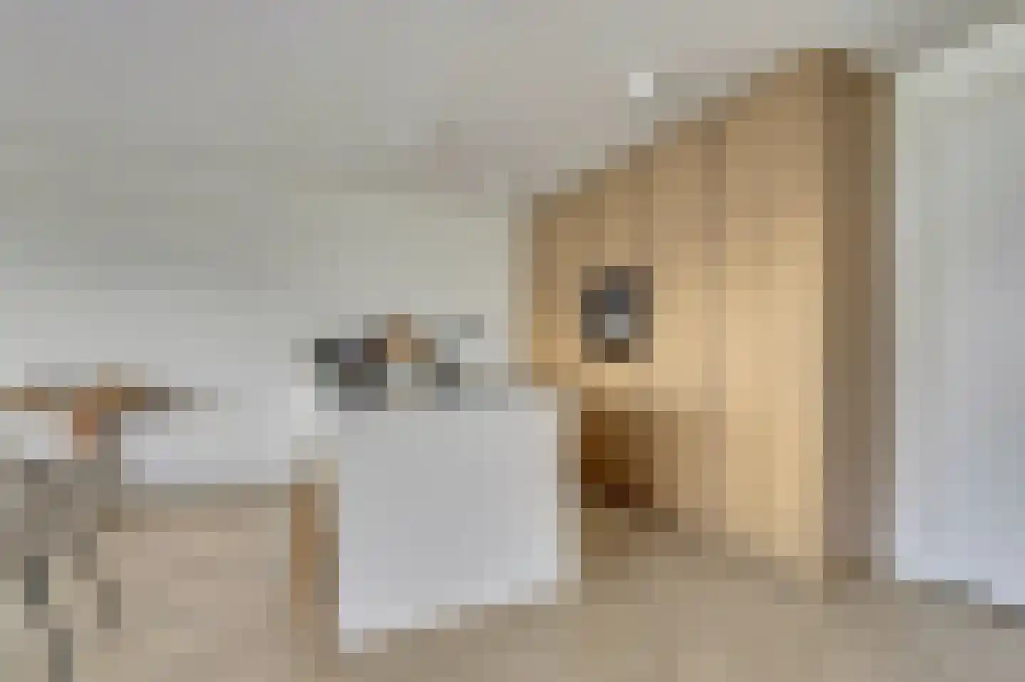 Lamsoor 31 Arnemuiden thumbnail 18