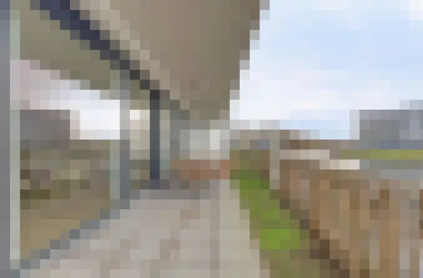 Lamsoor 31 Arnemuiden thumbnail 34