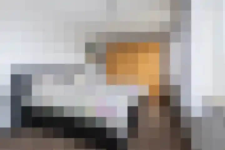 Lamsoor 36 Bergen op Zoom thumbnail 25