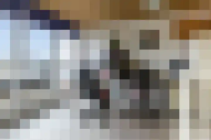 Lamsoor 36 Bergen op Zoom thumbnail 31