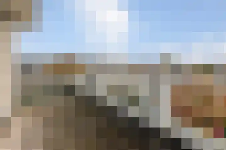 Lamsoor 36 Bergen op Zoom thumbnail 34