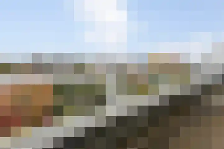 Lamsoor 36 Bergen op Zoom thumbnail 35