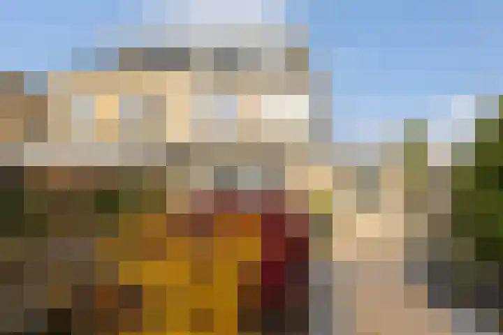 Lamsoor 36 Bergen op Zoom thumbnail 37