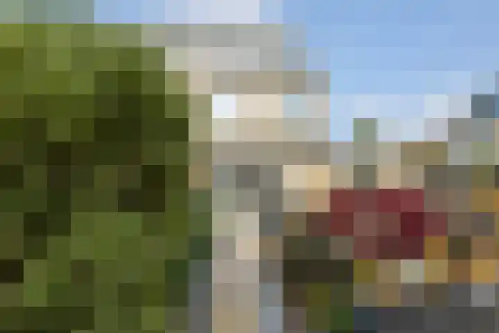 Lamsoor 36 Bergen op Zoom thumbnail 38