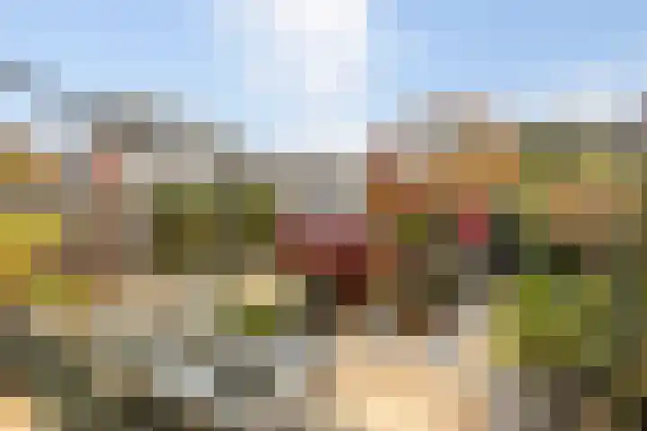 Lamsoor 36 Bergen op Zoom thumbnail 39
