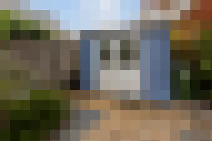 Lamsoor 36 Bergen op Zoom thumbnail 41