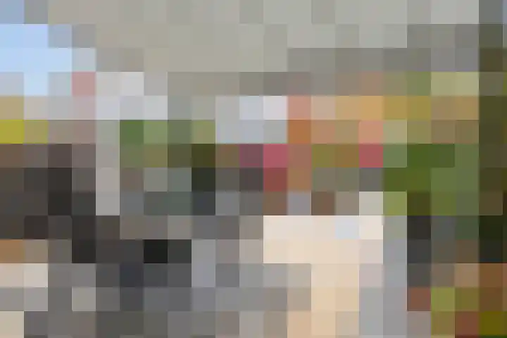 Lamsoor 36 Bergen op Zoom thumbnail 42