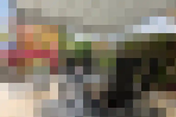 Lamsoor 36 Bergen op Zoom thumbnail 44