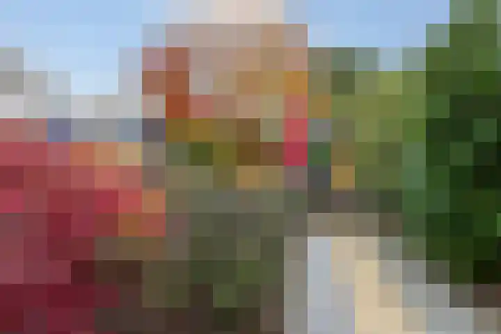 Lamsoor 36 Bergen op Zoom thumbnail 45