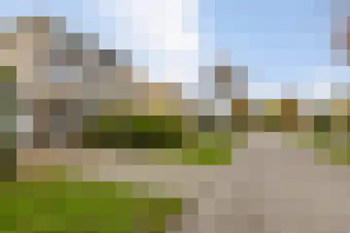 Lamsoor 36 Bergen op Zoom thumbnail 51