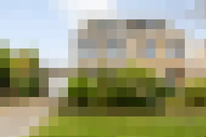Lamsoor 36 Bergen op Zoom thumbnail 52