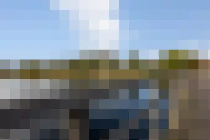 Lamsoor 36 Bergen op Zoom thumbnail 56