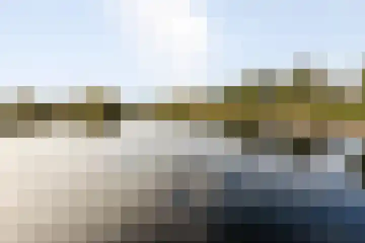 Lamsoor 36 Bergen op Zoom thumbnail 57