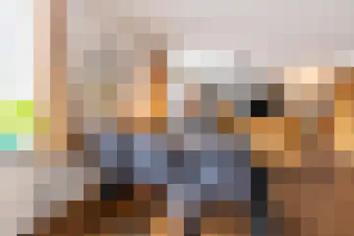 Lamsoor 36 Bergen op Zoom thumbnail 6