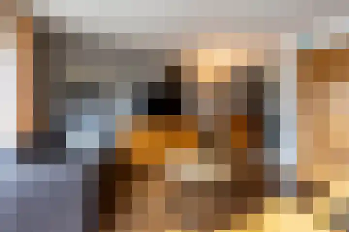 Lamsoor 36 Bergen op Zoom thumbnail 7