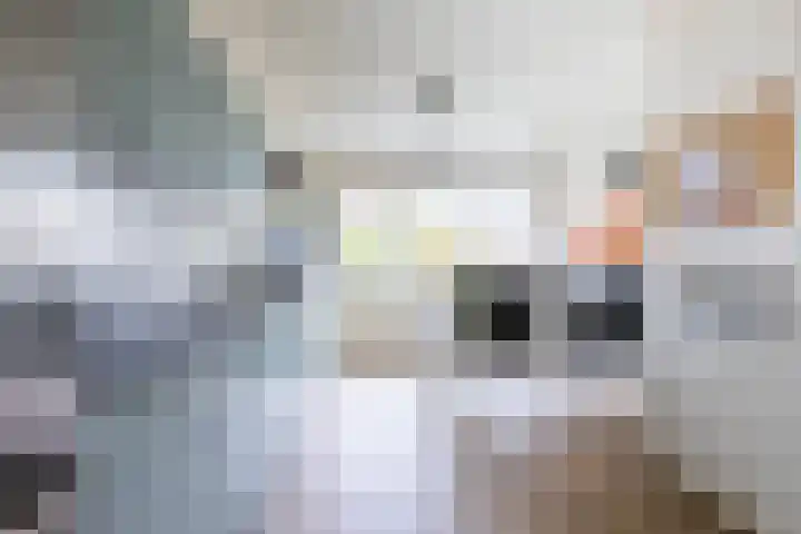 Lamsoor 36 Bergen op Zoom thumbnail 9