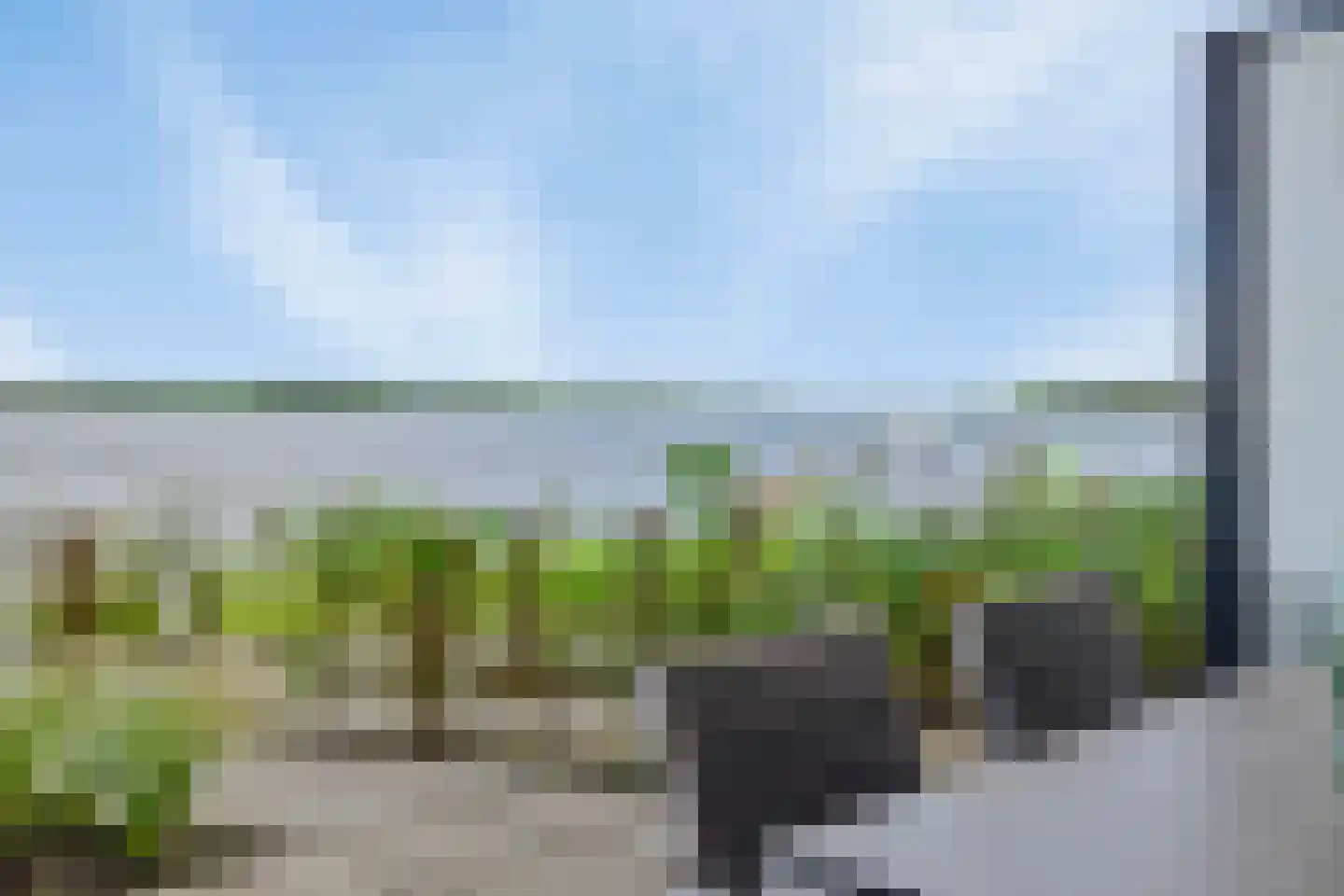 Lamsoor 37 Arnemuiden thumbnail 14