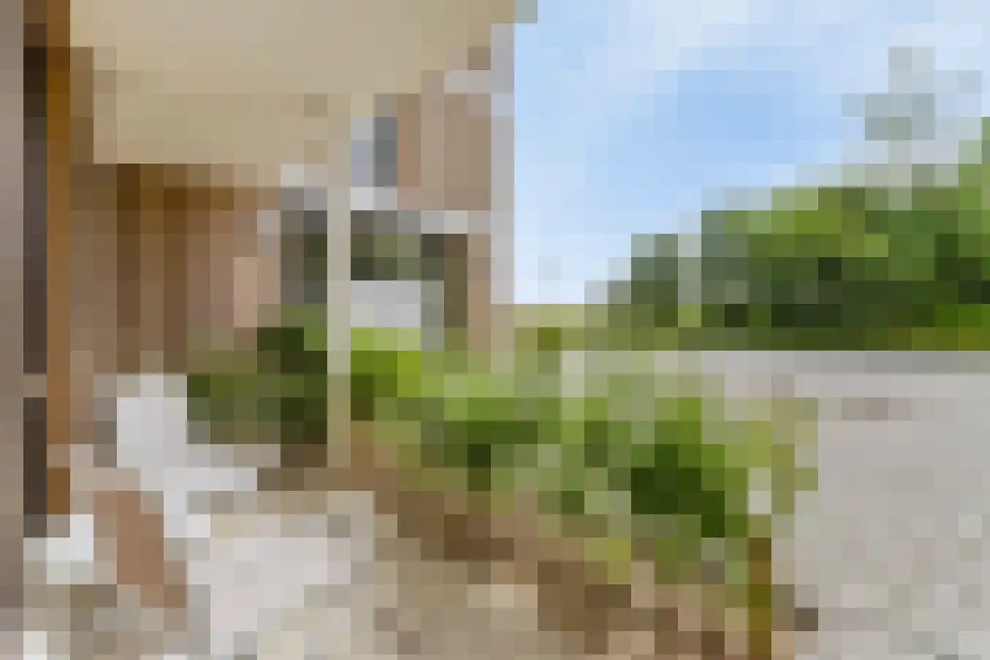 Lamsoor 37 Arnemuiden thumbnail 16