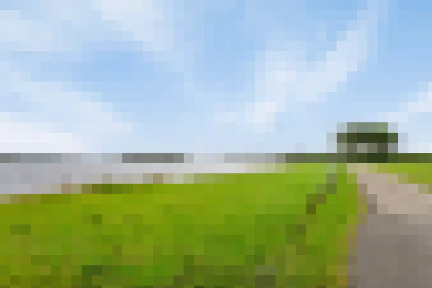 Lamsoor 37 Arnemuiden thumbnail 22