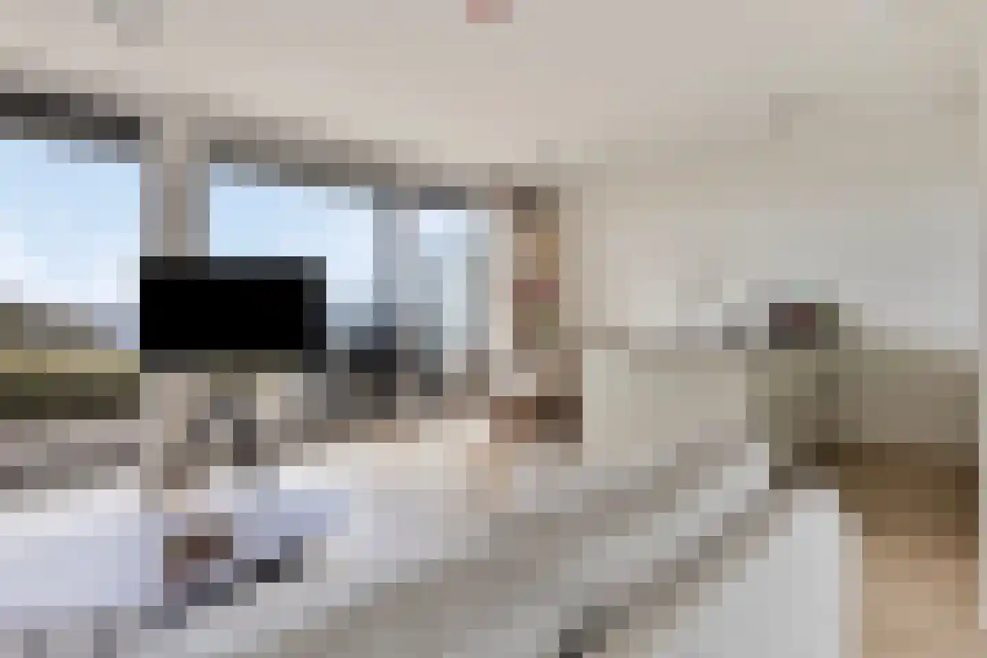 Lamsoor 37 Arnemuiden thumbnail 5